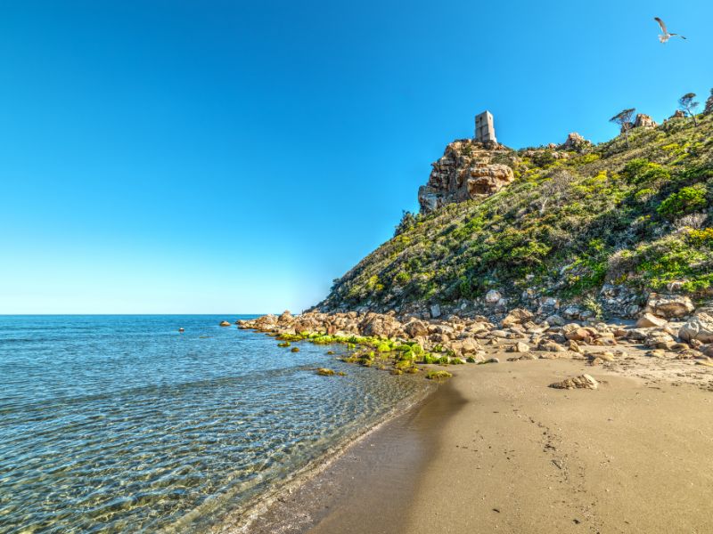 Torre Salinas